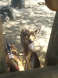 東武動物公園に投稿された画像（2026/10/10）