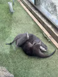 伊豆シャボテン動物公園に投稿された画像（2026/10/11）