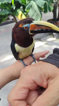 掛川花鳥園に投稿された画像（2026/10/11）