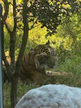 名古屋市東山動植物園に投稿された画像（2026/10/11）