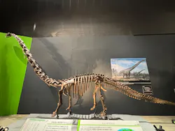 福井県立恐竜博物館に投稿された画像（2026/10/11）