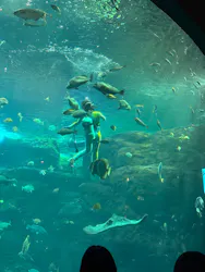新江ノ島水族館に投稿された画像（2026/10/11）