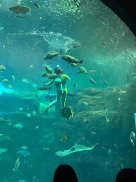 新江ノ島水族館に投稿された画像（2026/10/11）