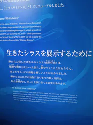 新江ノ島水族館に投稿された画像（2026/10/11）