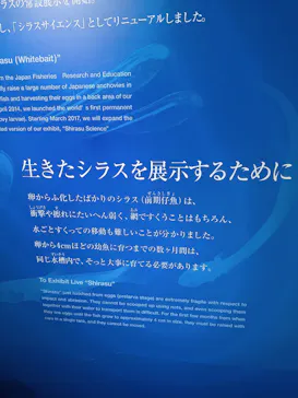 新江ノ島水族館に投稿された画像（2026/10/11）