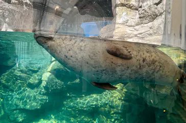 京都水族館に投稿された画像（2026/10/11）