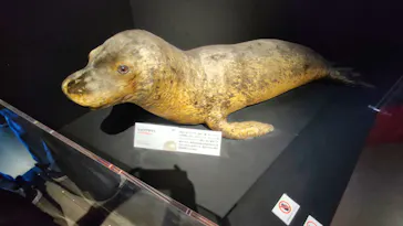 特別展「いきもの超ワールド展　国立科学博物館×ダーウィンが来た！」（国立科学博物館）に投稿された画像（2026/10/11）