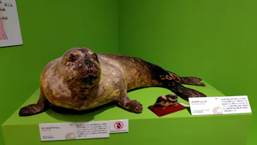 特別展「いきもの超ワールド展　国立科学博物館×ダーウィンが来た！」（国立科学博物館）に投稿された画像（2026/10/11）