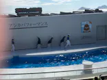 鴨川シーワールドに投稿された画像（2026/10/11）