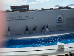 鴨川シーワールドに投稿された画像（2026/10/11）