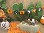 伊豆シャボテン動物公園に投稿された画像（2026/10/11）