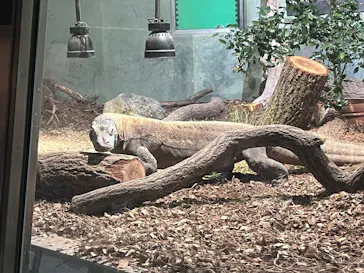 名古屋市東山動植物園に投稿された画像（2026/10/11）