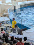 アクアワールド茨城県大洗水族館に投稿された画像（2026/10/11）