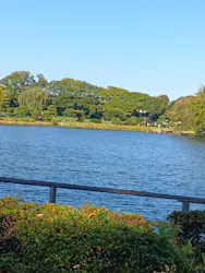 三溪園に投稿された画像（2026/10/11）