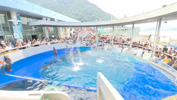 大分マリーンパレス水族館 「うみたまご」に投稿された画像（2026/10/11）