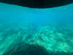 串本海中公園水族館に投稿された画像（2026/10/11）