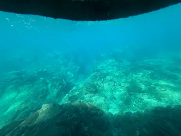 串本海中公園水族館に投稿された画像（2026/10/11）
