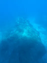 串本海中公園水族館に投稿された画像（2026/10/11）