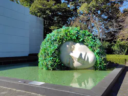 彫刻の森美術館に投稿された画像（2026/10/11）