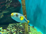 仙台うみの杜水族館に投稿された画像（2026/10/11）