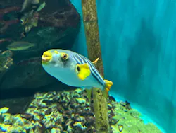 仙台うみの杜水族館に投稿された画像（2026/10/11）