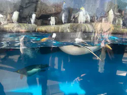 仙台うみの杜水族館に投稿された画像（2026/10/11）