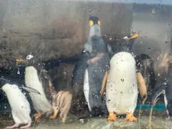 仙台うみの杜水族館に投稿された画像（2026/10/11）