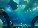 沖縄美ら海水族館に投稿された画像（2026/10/11）