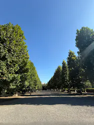 新宿御苑に投稿された画像（2026/10/11）