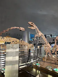 福井県立恐竜博物館に投稿された画像（2026/10/11）