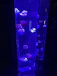 サンシャイン水族館に投稿された画像（2026/10/11）