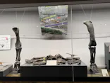 福井県立恐竜博物館に投稿された画像（2026/10/11）