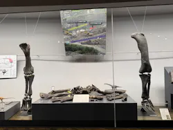 福井県立恐竜博物館に投稿された画像（2026/10/11）