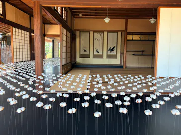 瀬戸内産業芸術祭に投稿された画像（2026/10/11）