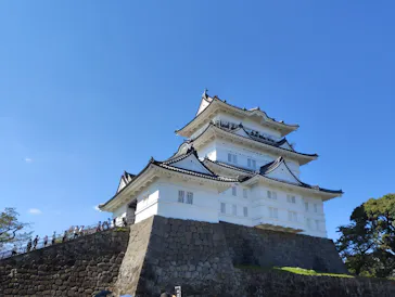 小田原城に投稿された画像（2026/10/11）