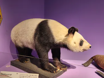 特別展「いきもの超ワールド展　国立科学博物館×ダーウィンが来た！」（国立科学博物館）に投稿された画像（2026/10/11）