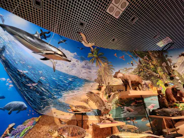特別展「いきもの超ワールド展　国立科学博物館×ダーウィンが来た！」（国立科学博物館）に投稿された画像（2026/10/11）
