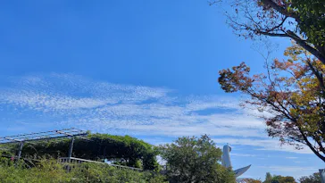 国立民族学博物館に投稿された画像（2026/10/11）