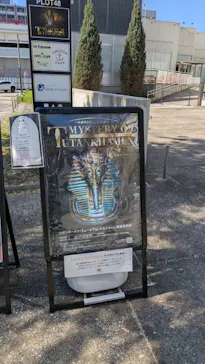MYSTERY OF TUTANKHAMEN 体感型古代エジプト展に投稿された画像（2026/10/11）