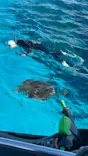 Sea World（シーワールド）に投稿された画像（2026/10/11）