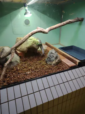 名古屋市東山動植物園に投稿された画像（2026/10/11）
