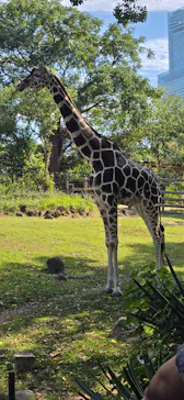 天王寺動物園に投稿された画像（2026/10/11）
