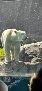 天王寺動物園に投稿された画像（2026/10/11）