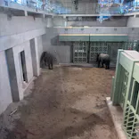 天王寺動物園に投稿された画像（2026/10/11）