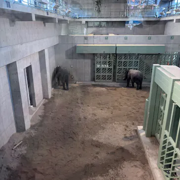 天王寺動物園に投稿された画像（2026/10/11）