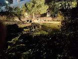 天王寺動物園に投稿された画像（2026/10/11）