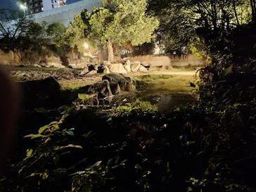 天王寺動物園に投稿された画像（2026/10/11）