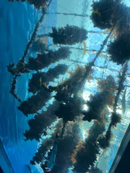 仙台うみの杜水族館に投稿された画像（2026/10/11）