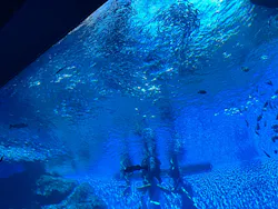 仙台うみの杜水族館に投稿された画像（2026/10/11）