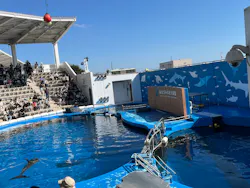 仙台うみの杜水族館に投稿された画像（2026/10/11）